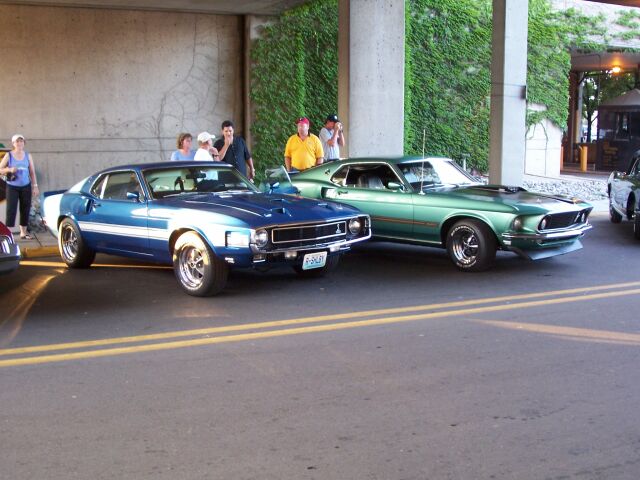 parked_mustangs.jpg