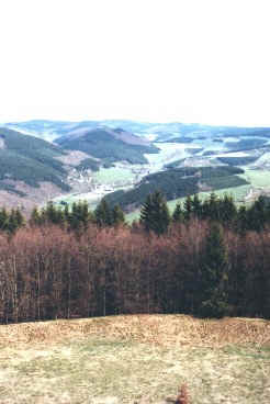 Looking East