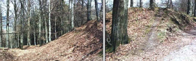 Ring Wall